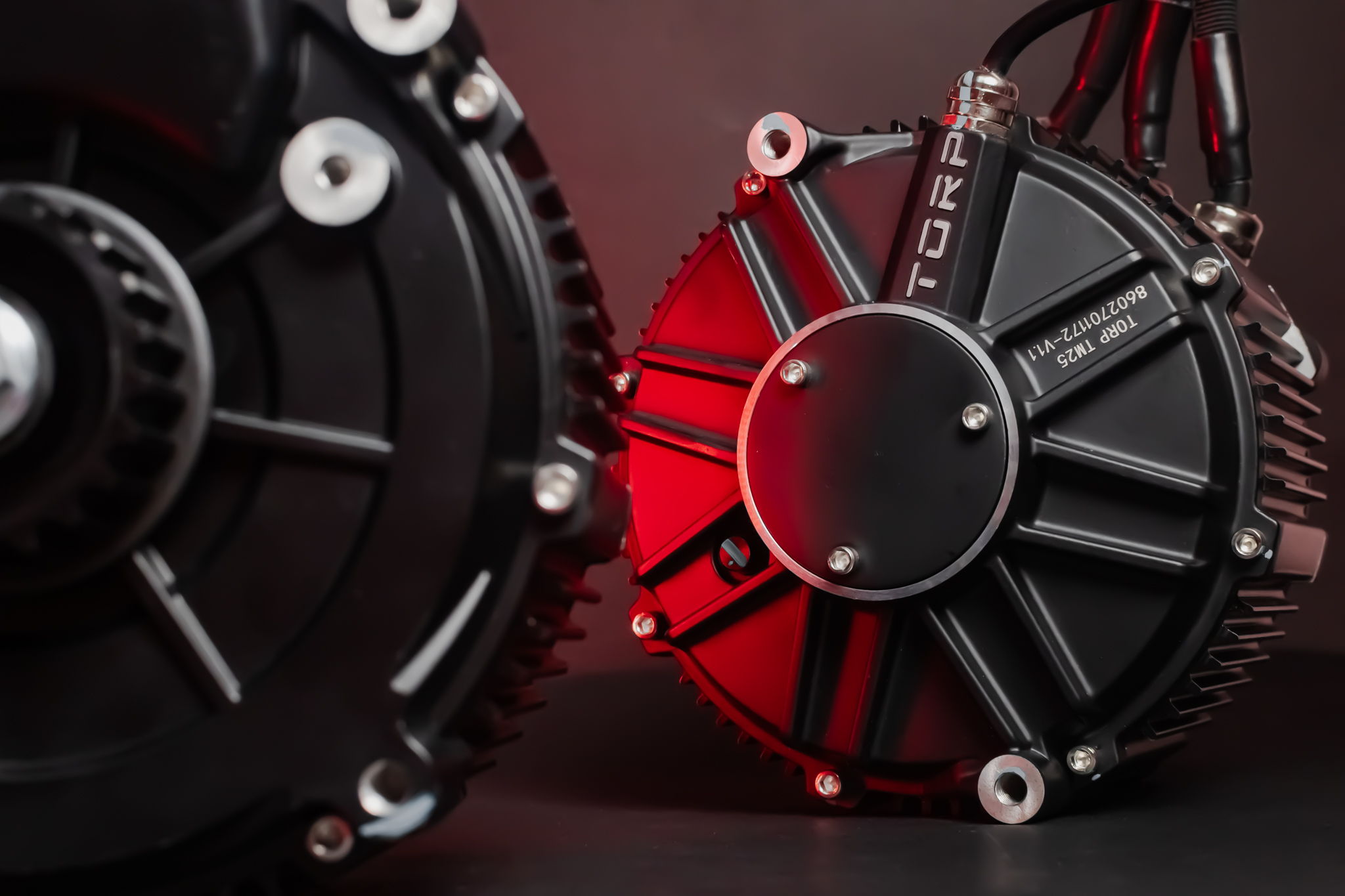 Torp TM25 Sur-Ron Light Bee variklis 115x165 mm matmenys